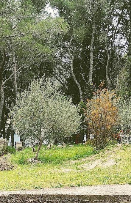 סטארי גראד Apartment Maya מראה חיצוני תמונה
